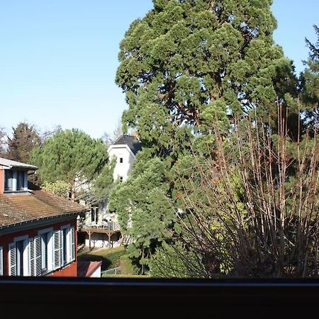 Superb Apt- Garden- 3 Parkings, Near Petite Venise ! 科尔马 外观 照片
