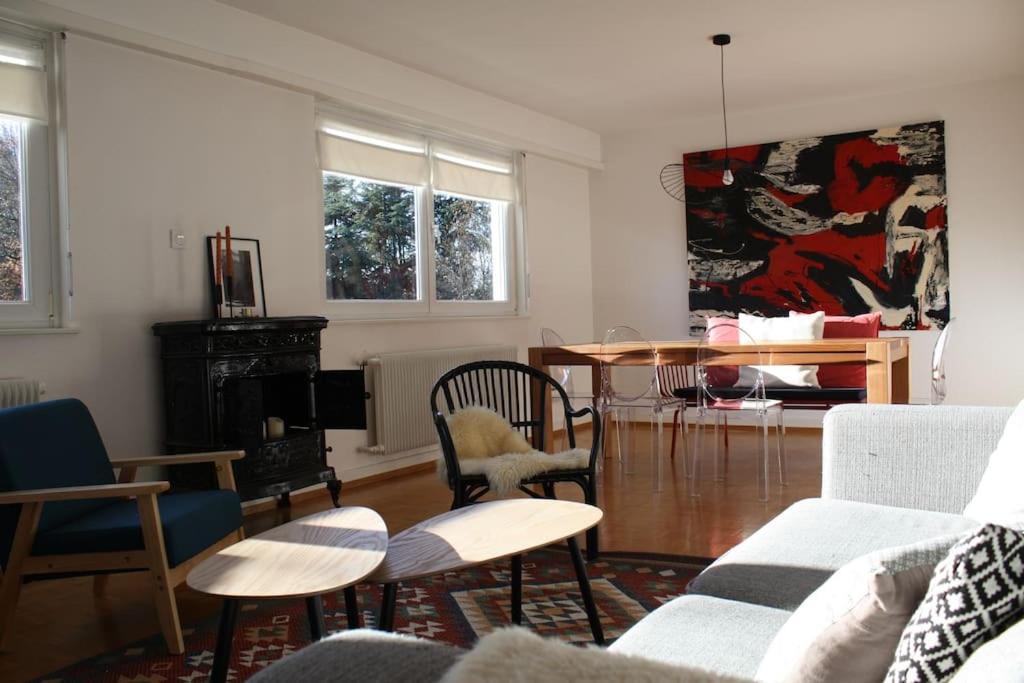 Superb Apt- Garden- 3 Parkings, Near Petite Venise ! 科尔马 外观 照片