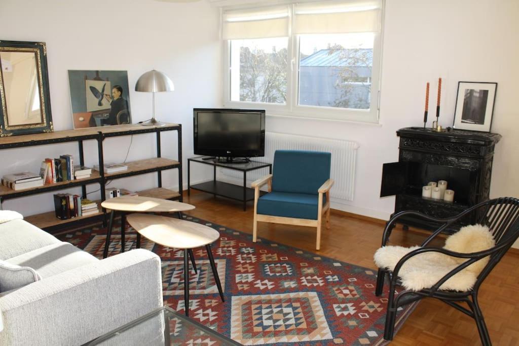 Superb Apt- Garden- 3 Parkings, Near Petite Venise ! 科尔马 外观 照片