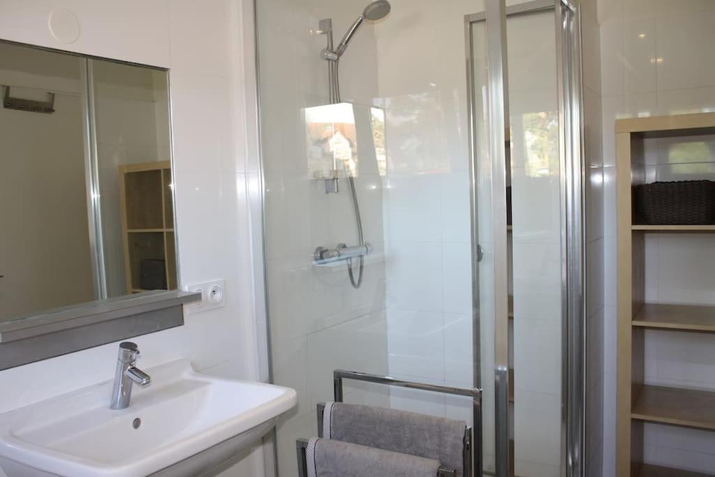 Superb Apt- Garden- 3 Parkings, Near Petite Venise ! 科尔马 外观 照片