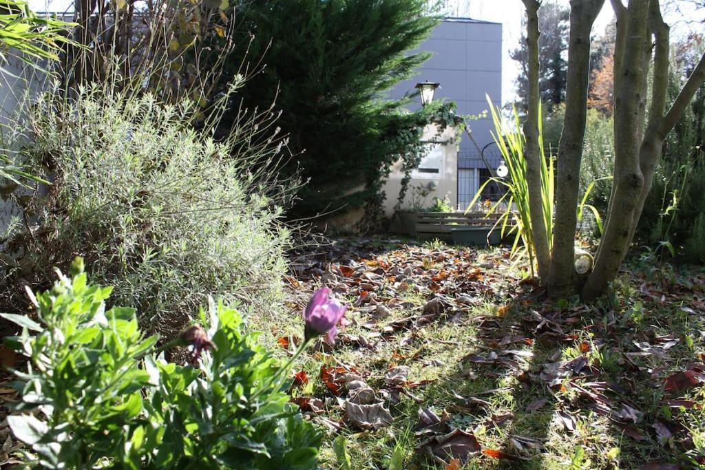 Superb Apt- Garden- 3 Parkings, Near Petite Venise ! 科尔马 外观 照片