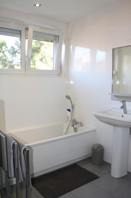 Superb Apt- Garden- 3 Parkings, Near Petite Venise ! 科尔马 外观 照片