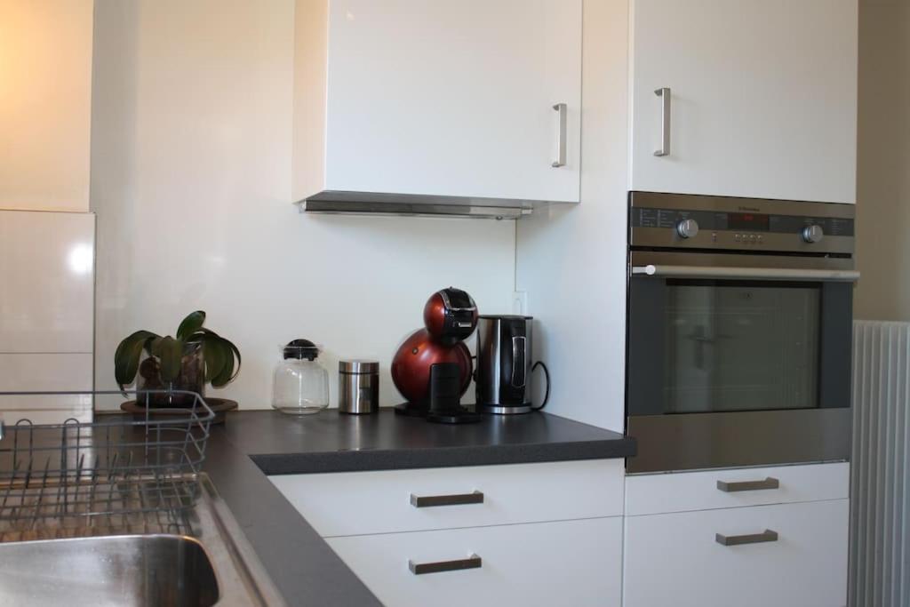 Superb Apt- Garden- 3 Parkings, Near Petite Venise ! 科尔马 外观 照片