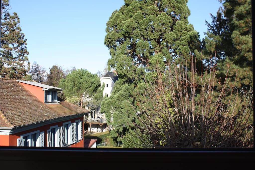 Superb Apt- Garden- 3 Parkings, Near Petite Venise ! 科尔马 外观 照片