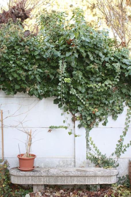 Superb Apt- Garden- 3 Parkings, Near Petite Venise ! 科尔马 外观 照片