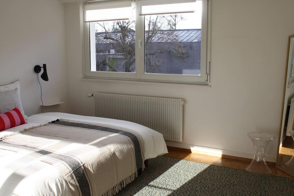 Superb Apt- Garden- 3 Parkings, Near Petite Venise ! 科尔马 外观 照片